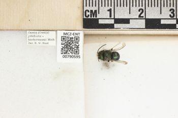 Media type: image;   Entomology 790595 Aspect: Labels